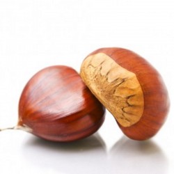 Foie Gras Entier Mi-Cuit à...