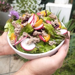 Grattons de canard - boîte...