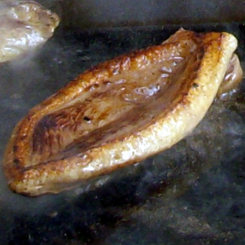 https://www.souleilles-foiegras.com/recette-250-aiguillettes-de-canard-au-miel-et-vinaigre-balsamique.html