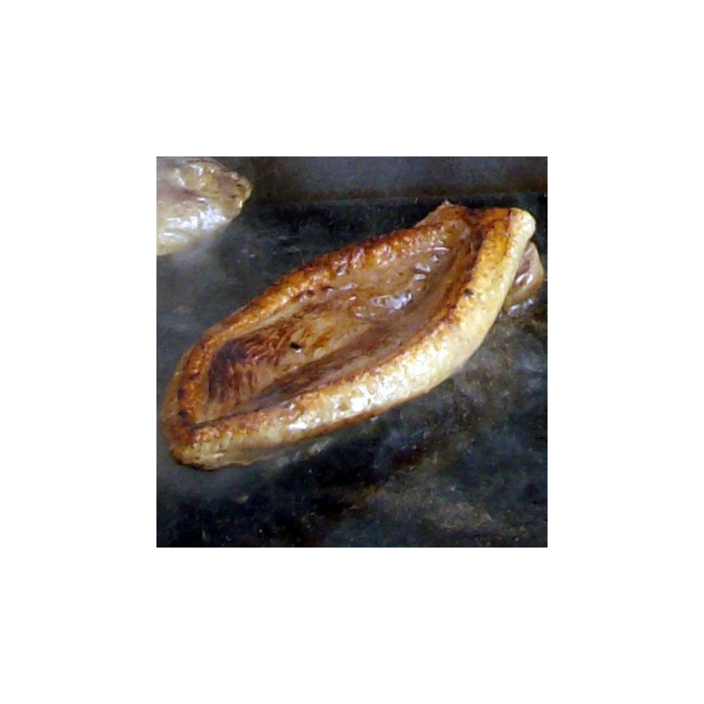 Tournedos de Magret