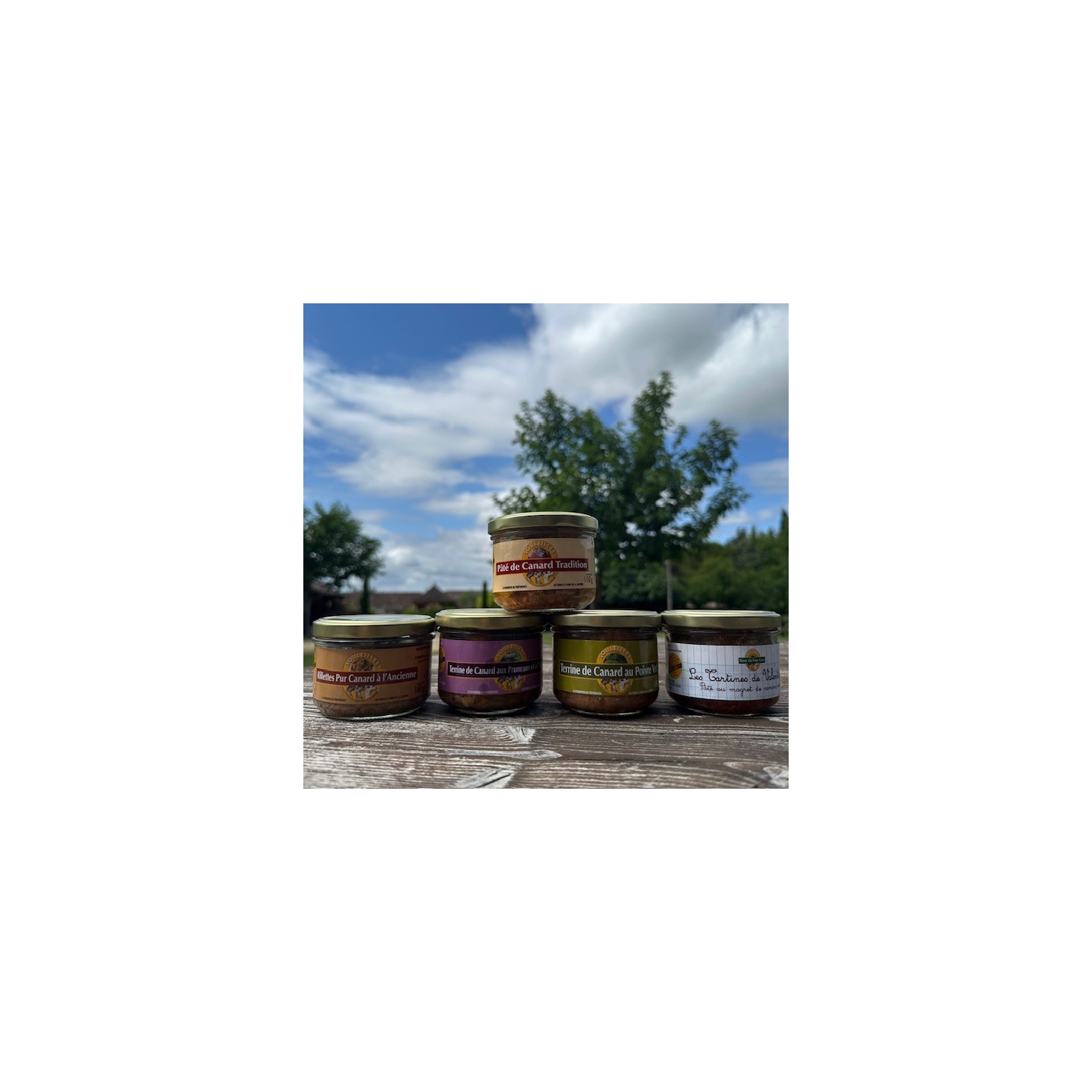 LOT ASSORTIMENT DE TERRINES