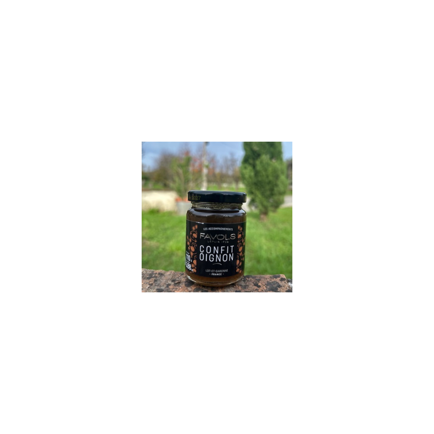 Confit d'oignons