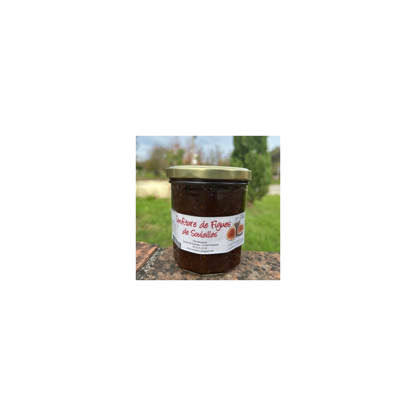 Confiture de figues