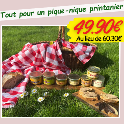 Tout pour un pique-nique...