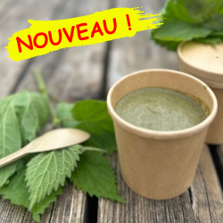 Soupe aux Orties Sauvages