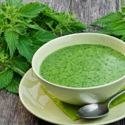 Soupe aux Orties Sauvages